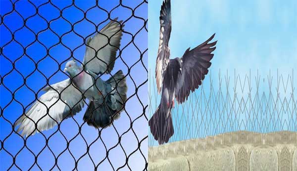 Anti Bird Net In Ibrahimpatnam 
