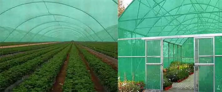 Shade Nets In Hyderabad
