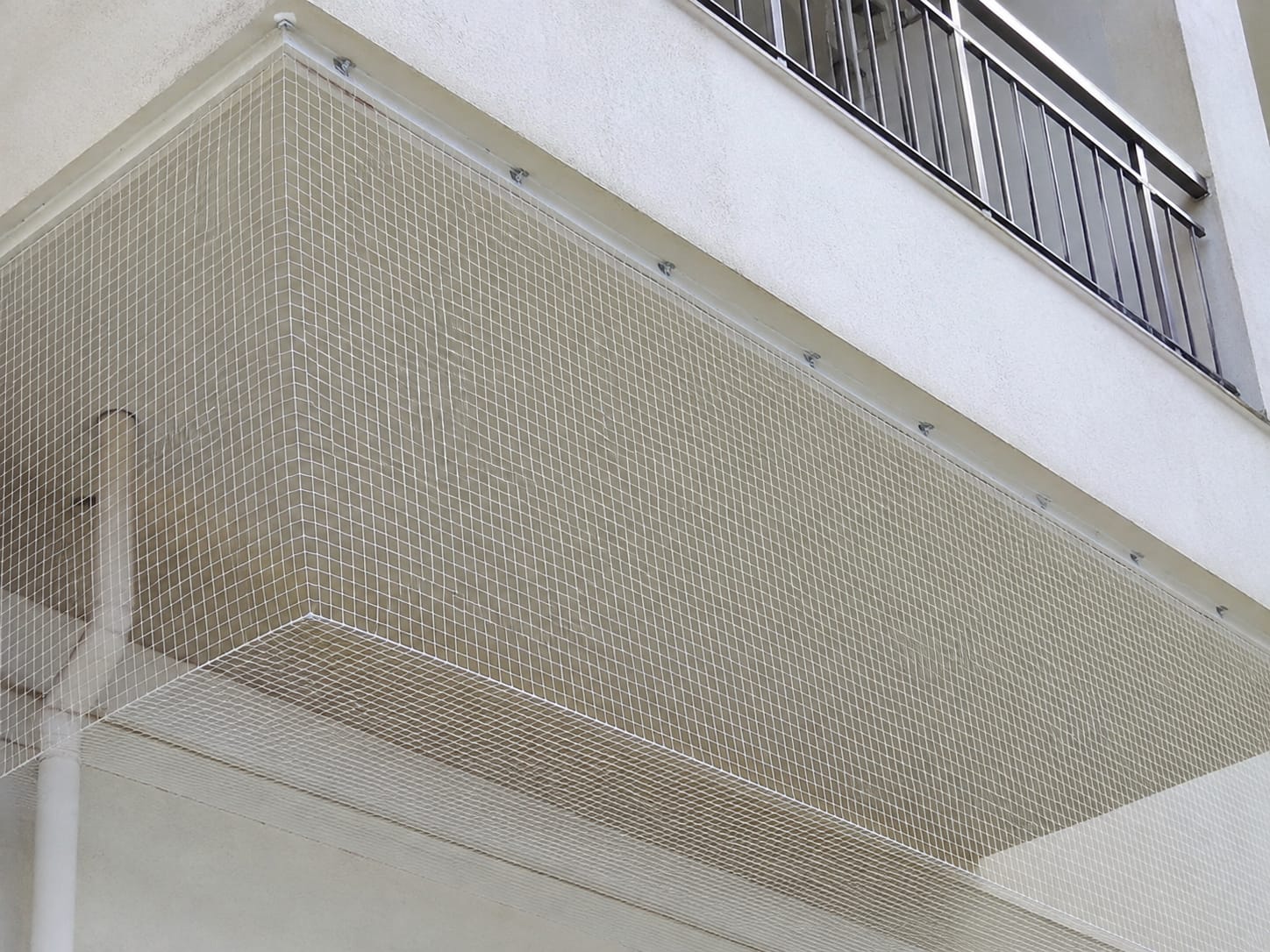 Pigeon Safety Nets in Kengeri